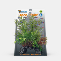 DECO PLANT CERATOPTERIS DECO PLANT CERATOPTERIS